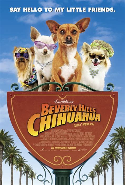 beverly hills chi|beverly hills chihuahua no mas.